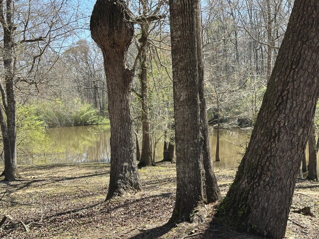 LOT1 Coon Bottom Ests, Ponce De Leon, FL 32455 - photo 3