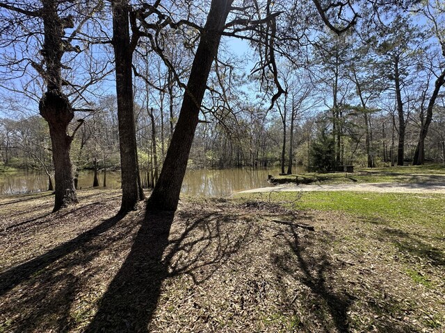 LOT1 Coon Bottom Ests, Ponce De Leon, FL 32455 - photo 6