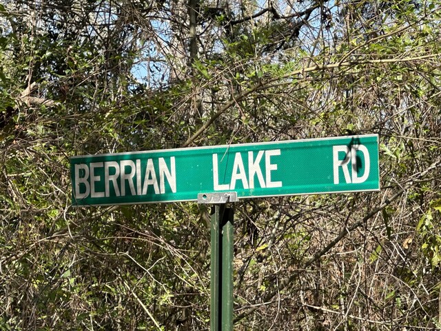 LOT1 Coon Bottom Ests, Ponce De Leon, FL 32455 - photo 4