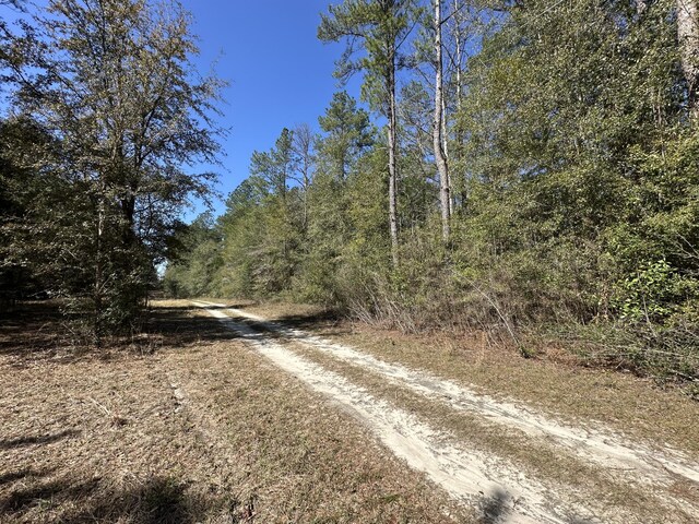 LOT1 Coon Bottom Ests, Ponce De Leon, FL 32455 - photo 10