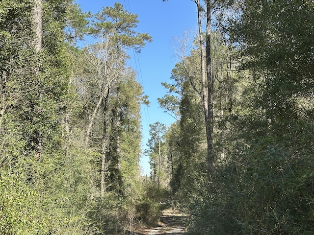 LOT1 Coon Bottom Ests, Ponce De Leon, FL 32455 - photo 12