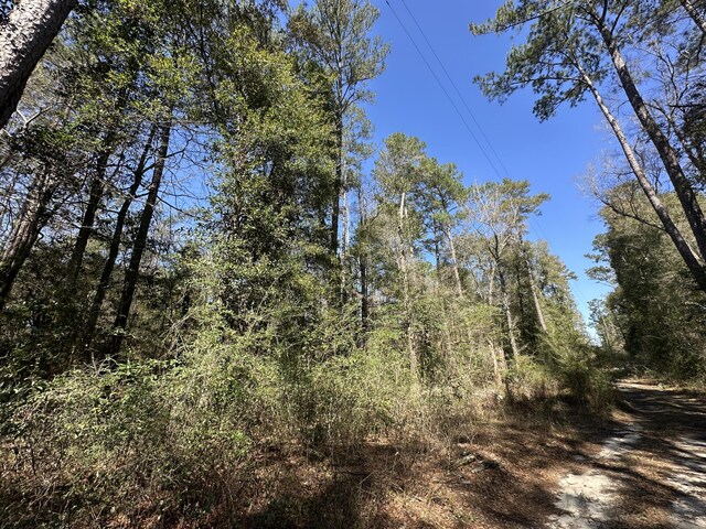 LOT1 Coon Bottom Ests, Ponce De Leon, FL 32455 - photo 14
