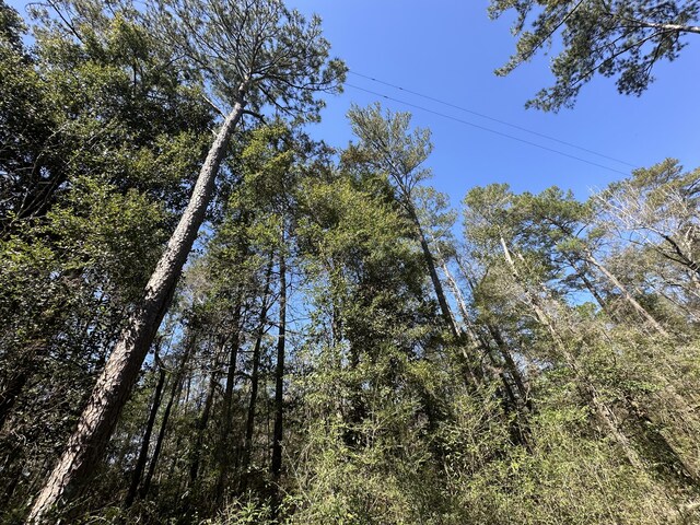 LOT1 Coon Bottom Ests, Ponce De Leon, FL 32455 - photo 15