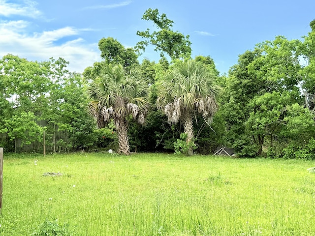 1809 Clay Ave, Panama City, FL 32405 - photo 26