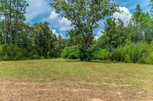view of landscape with a wooded view