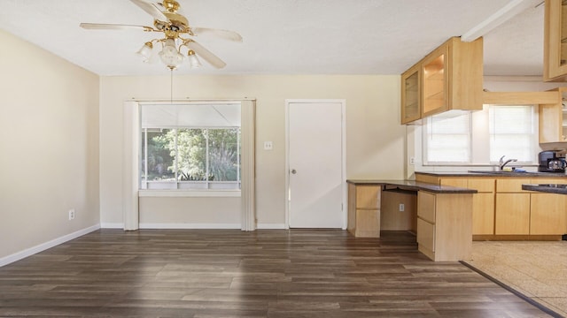 kitchen featuring light brown cabinets, a sink, ceiling fan, and dark wood-style floors