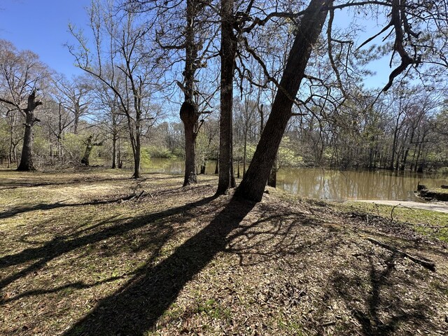 LOT13 Coon Bottom Ests, Ponce De Leon, FL 32455