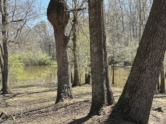 LOT13 Coon Bottom Ests, Ponce De Leon, FL 32455
