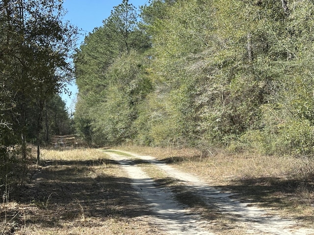 LOT13 Coon Bottom Ests, Ponce De Leon, FL 32455
