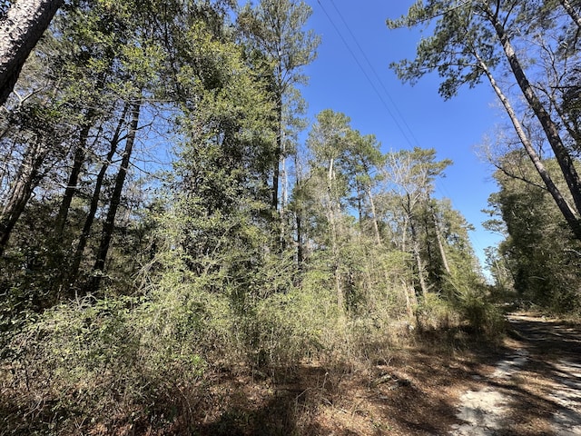 LOT13 Coon Bottom Ests, Ponce De Leon, FL 32455