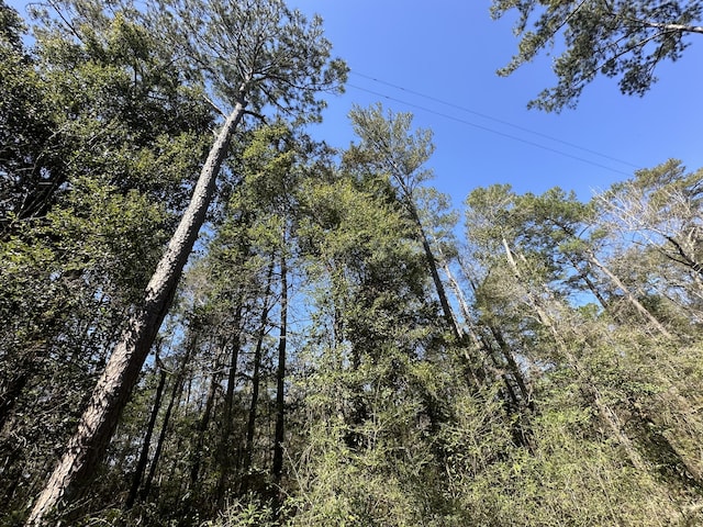 LOT13 Coon Bottom Ests, Ponce De Leon, FL 32455