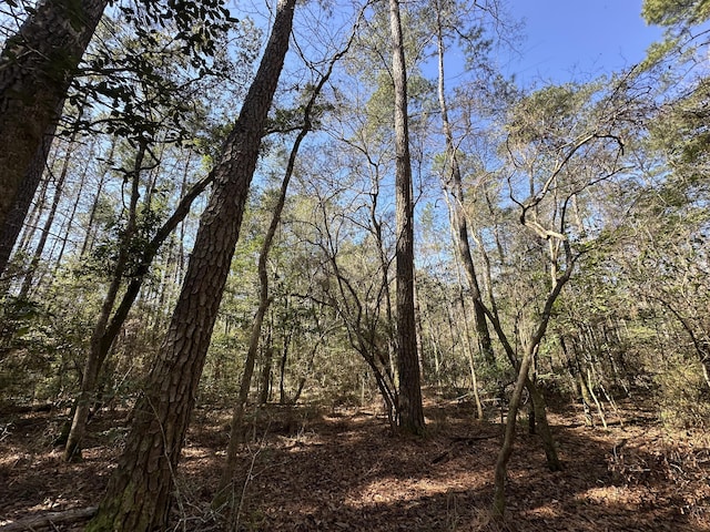 LOT13 Coon Bottom Ests, Ponce De Leon, FL 32455