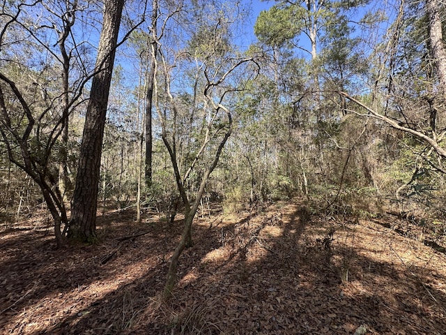 LOT13 Coon Bottom Ests, Ponce De Leon, FL 32455