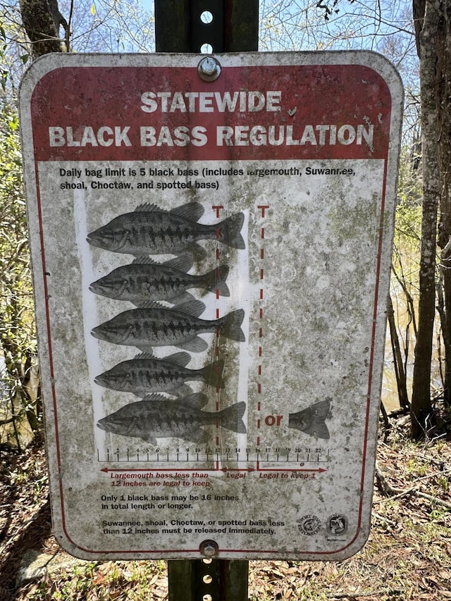 LOT13 Coon Bottom Ests, Ponce De Leon, FL 32455
