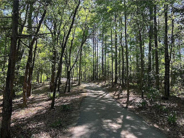 941 Walton Bridge Rd, Ponce De Leon, FL 32455 - view of street