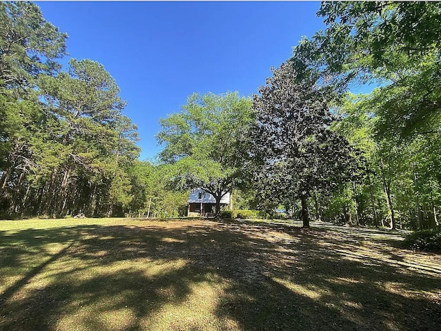 941 Walton Bridge Rd, Ponce De Leon, FL 32455 - view of yard featuring a wooded view