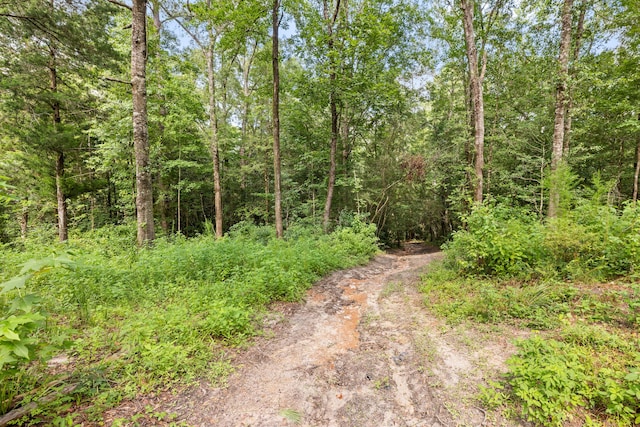 941 Walton Bridge Rd, Ponce De Leon, FL 32455 - photo 29