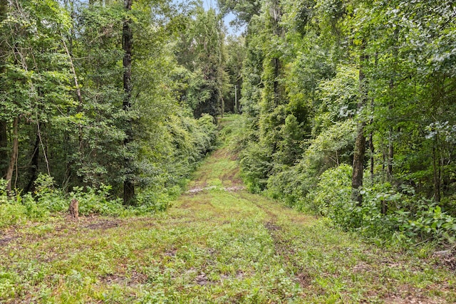 941 Walton Bridge Rd, Ponce De Leon, FL 32455 - photo 32