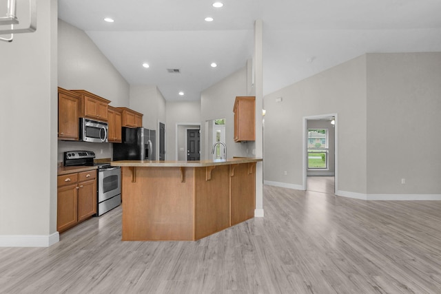 2354 Barberee Dr, Crestview, FL 32536 - kitchen featuring stainless steel appliances, high vaulted ceiling, a peninsula, light wood-style floors, and a sink