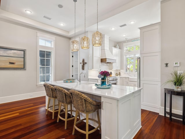 236 Spartina Cir, Santa Rosa Beach, FL 32459 - kitchen featuring premium range hood, dark wood-style floors, high end stainless steel range, a sink, and plenty of natural light