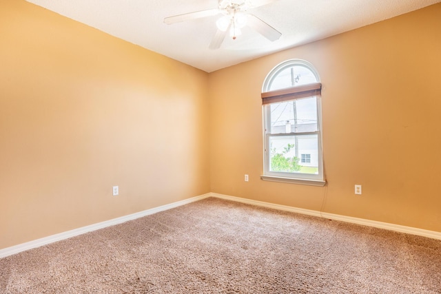 439 Sandy Ridge Cir, Mary Esther, FL 32569 - photo 13