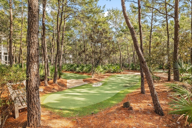 17 Compass Point Way, Watersound, FL 32461 - view of home's community with a putting green