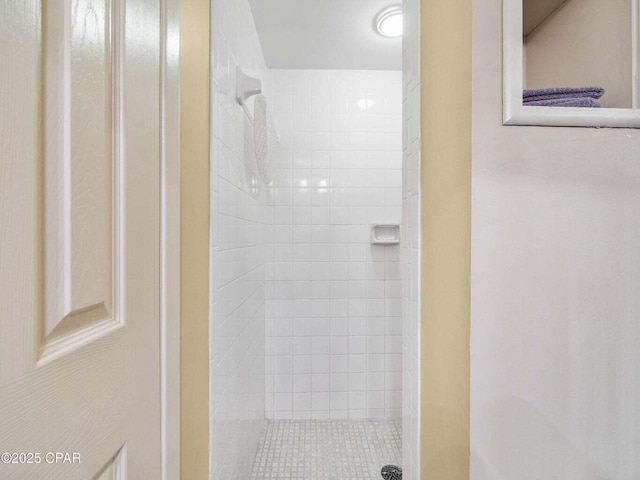23223 Front Beach Rd Unit A114, Panama City Beach, FL 32413 - full bath with a shower stall