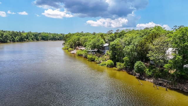 439 Big Cedar Rd, Ponce De Leon, FL 32455 - water view featuring a heavily wooded area