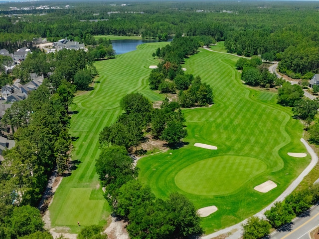 105 Somersault Ln, Inlet Beach, FL 32461 - aerial view of a large body of water and a local golf course