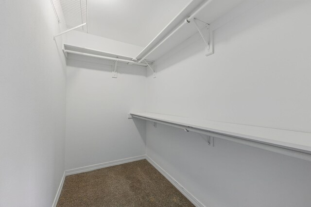 1405 Ariel Ln, Fort Walton Beach, FL 32547 - spacious closet with dark carpet