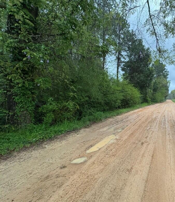 TBD Js Jones Rd, Graceville, FL 32440