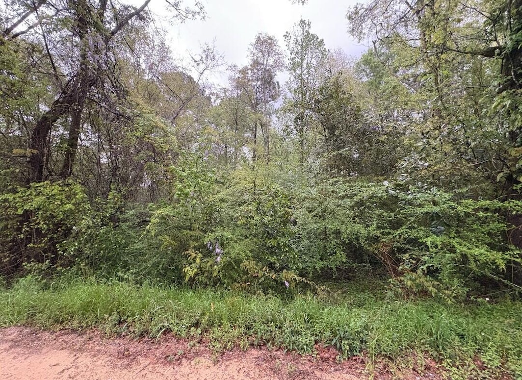 TBD Js Jones Rd, Graceville, FL 32440
