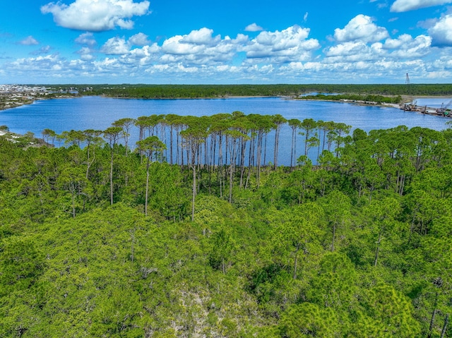 water view featuring a forest