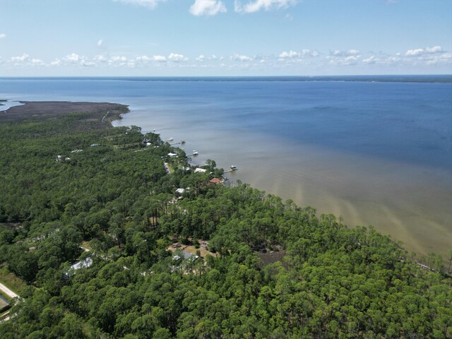 LOT0311 N Church St, Santa Rosa Beach, FL 32459 - photo 5