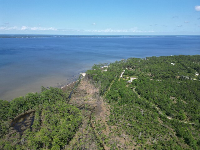 LOT0311 N Church St, Santa Rosa Beach, FL 32459 - photo 6