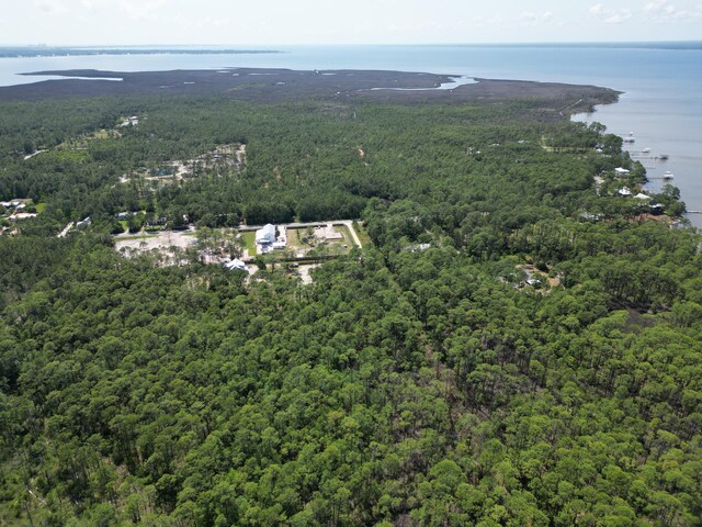 LOT0311 N Church St, Santa Rosa Beach, FL 32459 - photo 12