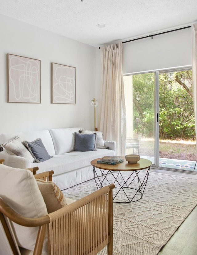 34 Herons Watch Way Unit 1102, Santa Rosa Beach, FL 32459 - living area featuring a textured ceiling