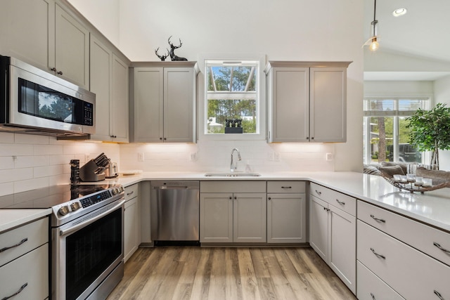kitchen featuring stainless steel appliances, a sink, light wood finished floors, gray cabinets, and backsplash
