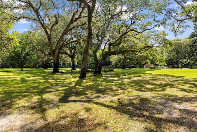 view of grassy yard