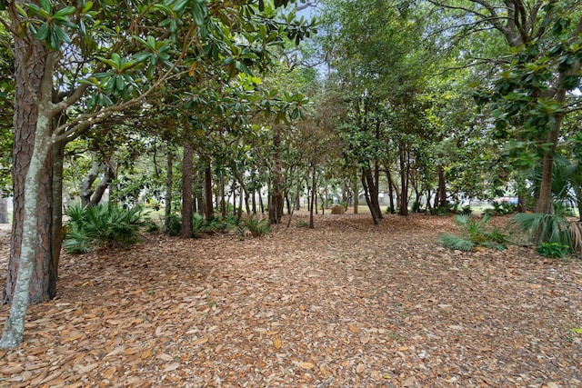 9 5th Ave, Shalimar, FL 32579 - view of local wilderness