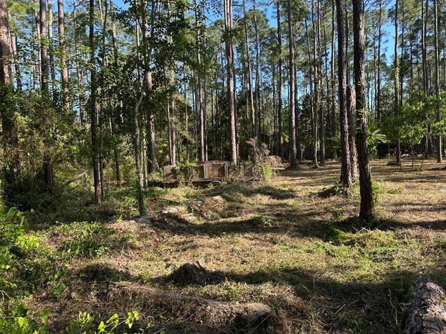 LOTS13-15 Harley Rd, Santa Rosa Beach, FL 32459