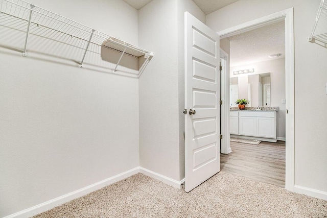 walk in closet with light colored carpet