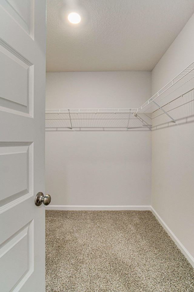 spacious closet with carpet floors