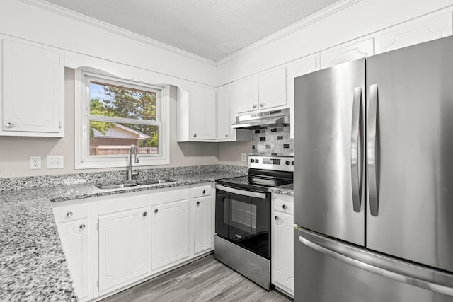 4360 Beau Terra Ln, Pensacola, FL 32514 - kitchen featuring appliances with stainless steel finishes, a sink, under cabinet range hood, ornamental molding, and white cabinetry