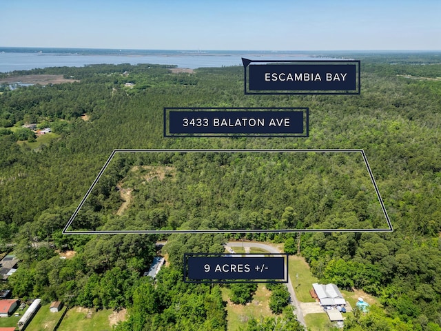 3433 Balaton Ave, Milton, FL 32583 - photo 2