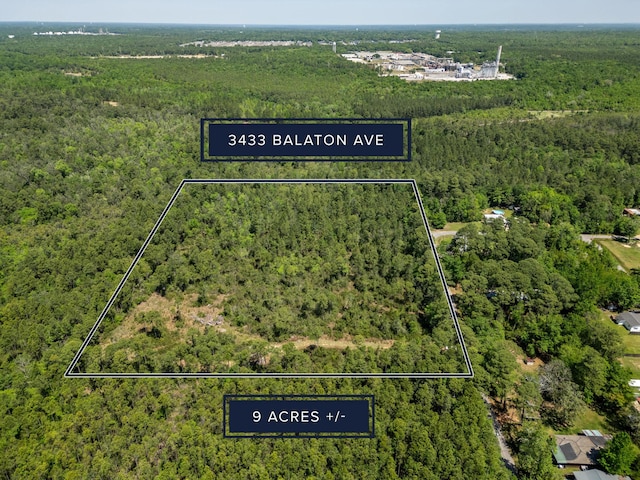 3433 Balaton Ave, Milton, FL 32583 - photo 3