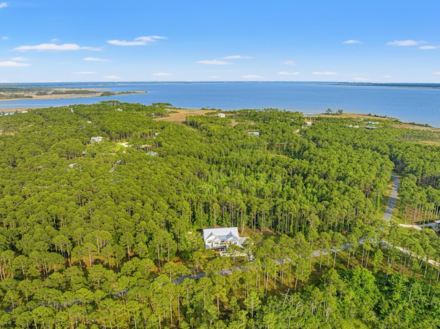 aerial view of property and surrounding area with a forest and a large body of water