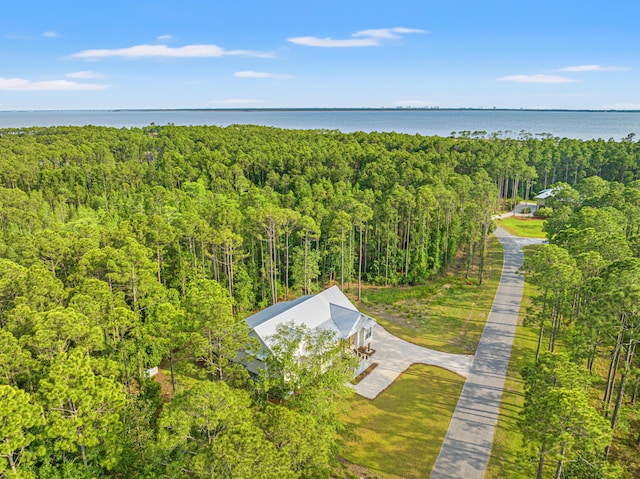 bird's eye view of a forest and a nearby body of water