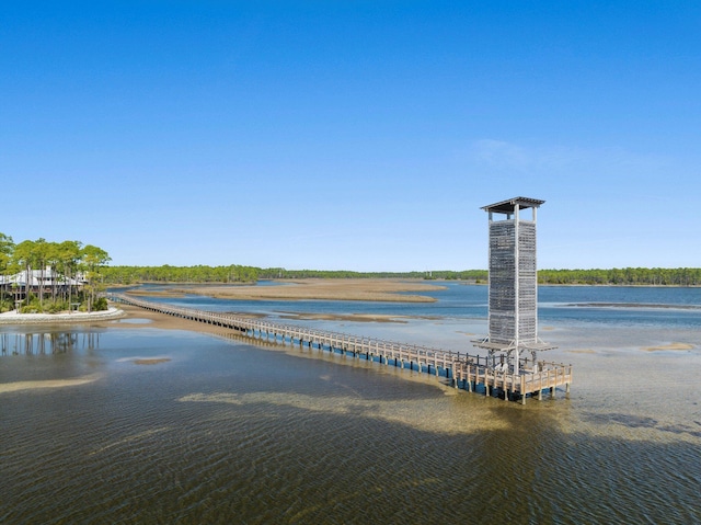 dock with a water view
