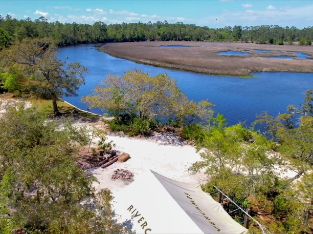 bird's eye view of a large body of water and a forest